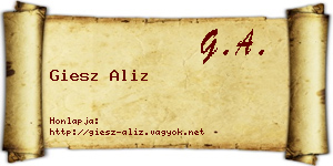 Giesz Aliz névjegykártya